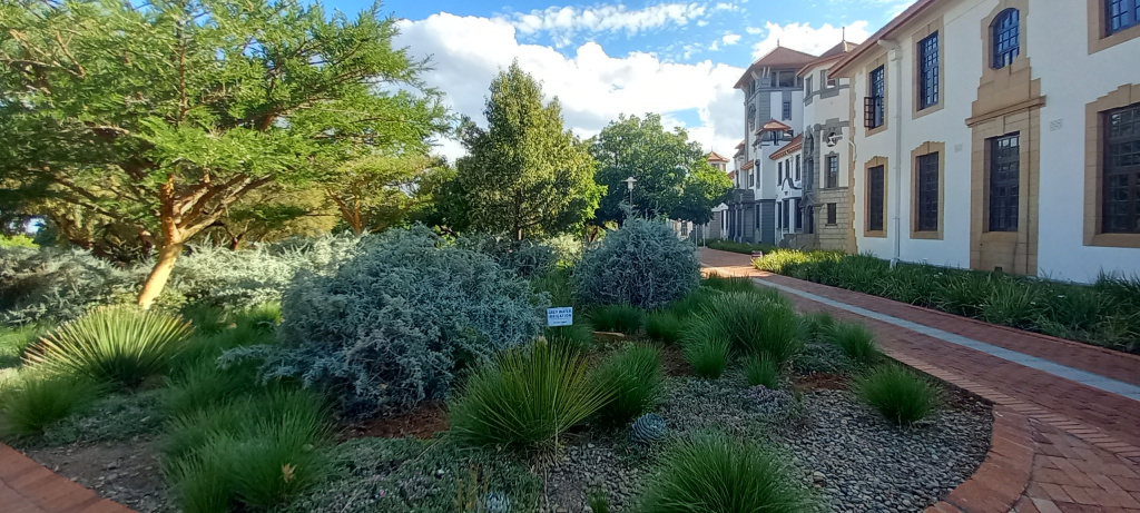 Университет Свободного государства.jpg